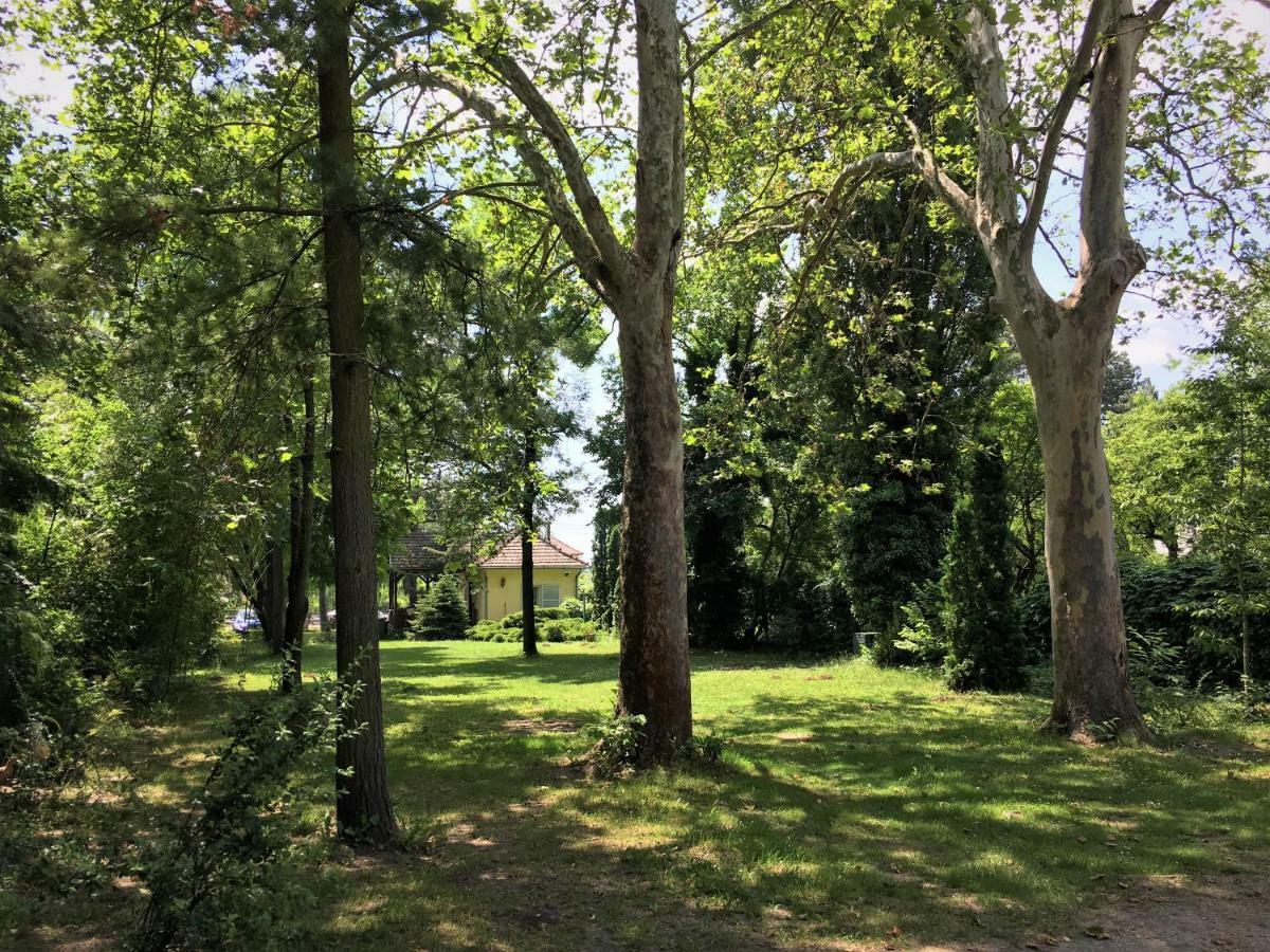 Honved Apartmanhaz Balatonlelle Buitenkant foto